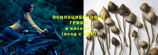 метадон Мегион