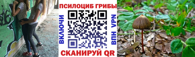 Галлюциногенные грибы прущие грибы  Купить где  Арамиль 